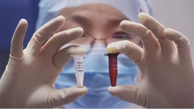 流感H7N9最新动态及观点论述