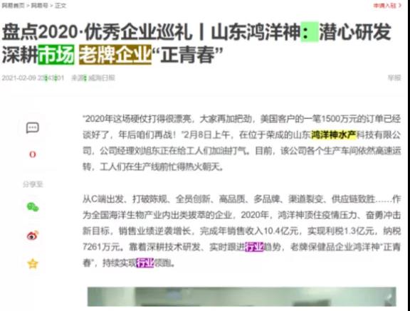 百合花股票最新动态，温馨日常背后的股市故事与最新消息解析