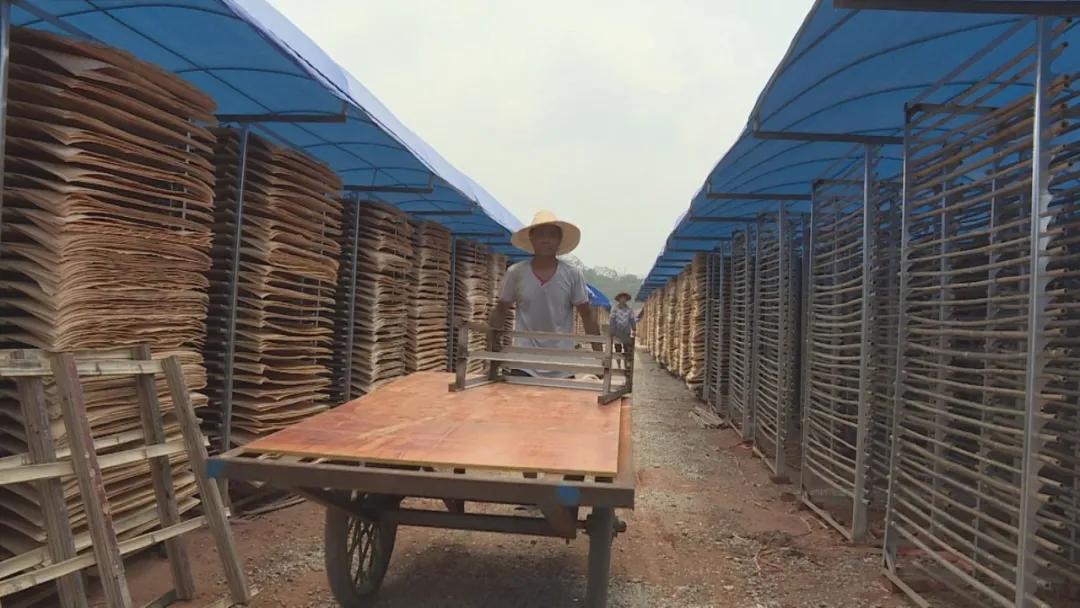 最新招工信息及探索自然美景之旅，启程寻找内心平和的旅行