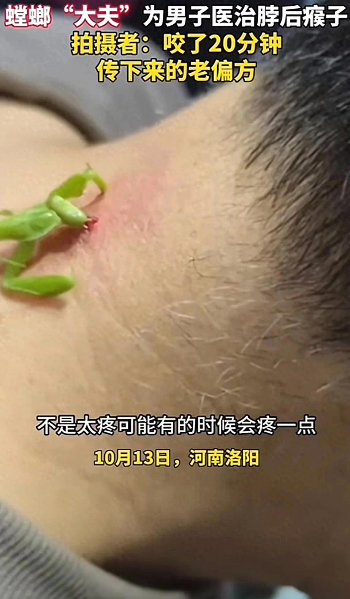 安卓最新版，小杰的温馨升级之旅奇妙日常
