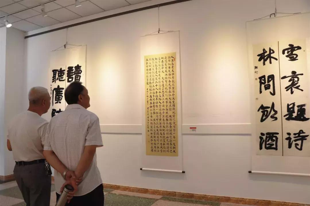 武清最新动态，时代脉搏下的蓬勃发展